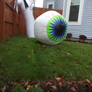 Part 2. Eyeball & Ghost pan.