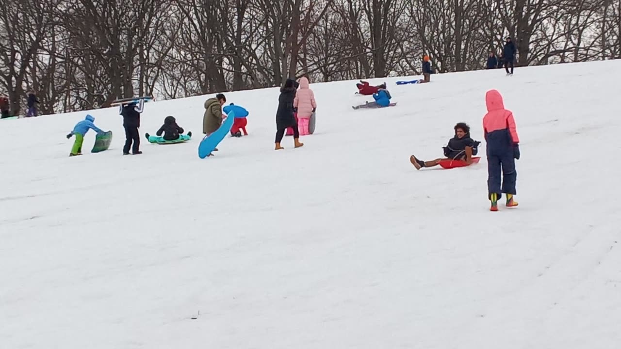 Snow Day at Owl's Head Park