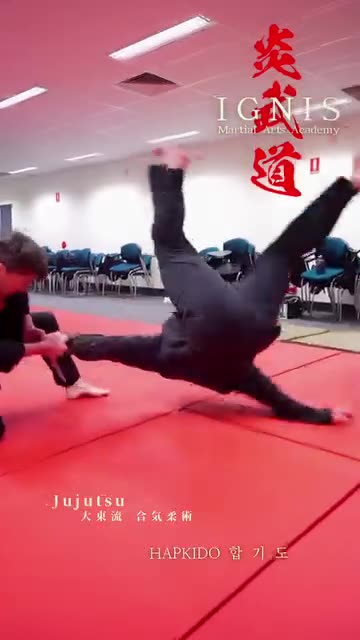 Hapkido