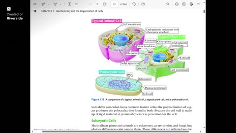 Endosymbiosis - Biochem Ch 1 P3