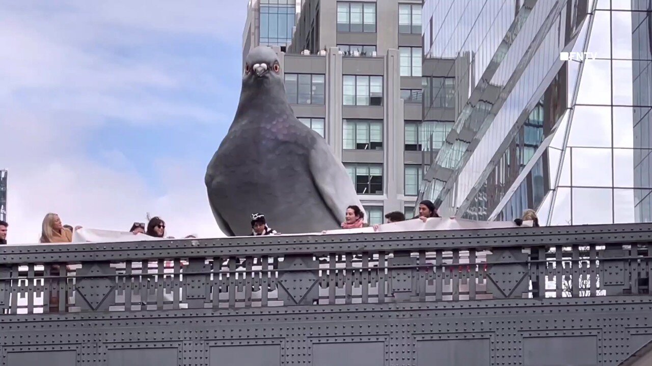 PETA drops Banner at 'PIGEON STATUE' on Highline Park Manhattan