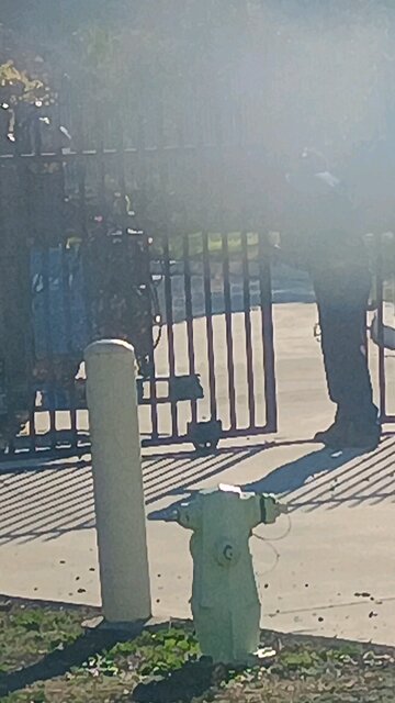 drac democrats torturing homeless humans