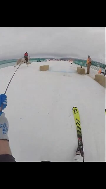 ICE SKIING🐎⛷️HORSE RACING COMPETITION🏆🐎💫