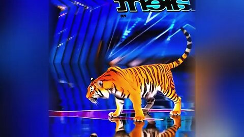 Americas Got Talent Magic: AGT Animal Transformation