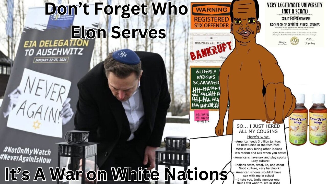 The Jeetpocalypse, Part IV. Elon Musk Is A Fraud. The Ethnic Replacement Campaign, War On Whites