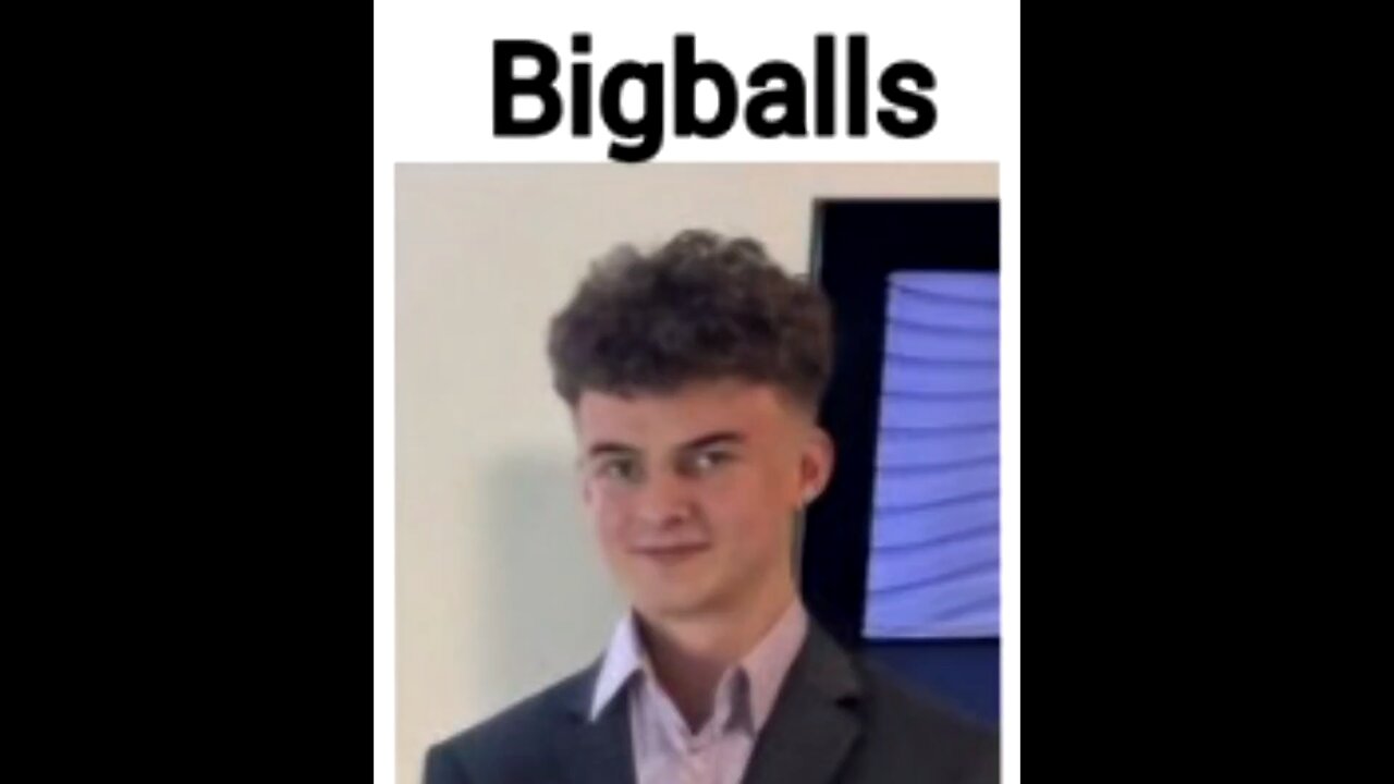 Meet the one and only Big Balls of DOGE 🤣😂