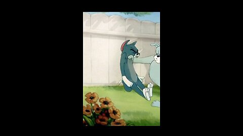 TOM AND JERRY BEST FUNNY VIDEOS