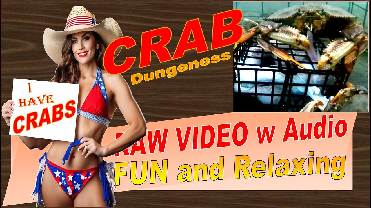 LovingKindWarm Crab Video Underwater Crab Pot Fish Boat ASMR Visual/Audio Fun 2024 10 03 Good 6 PV