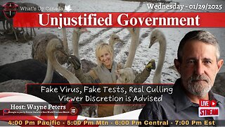 Unjustified Government - Fake Virus, Fake Tests, Real Culling