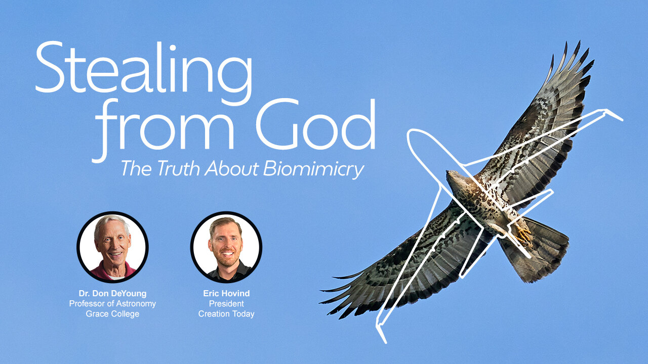 Stealing from God: Truth About Biomimicry | Eric Hovind & Dr. Don DeYoung | Creation Today Show #412