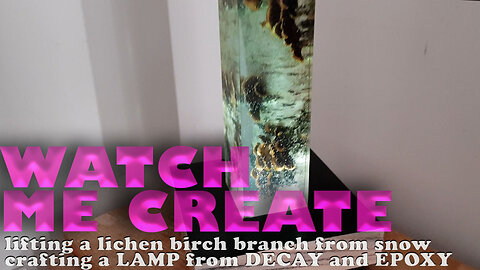 Watch Me Create: Epoxy Lamp from a Lichen-Covered, Snow-Buried Birch Branch