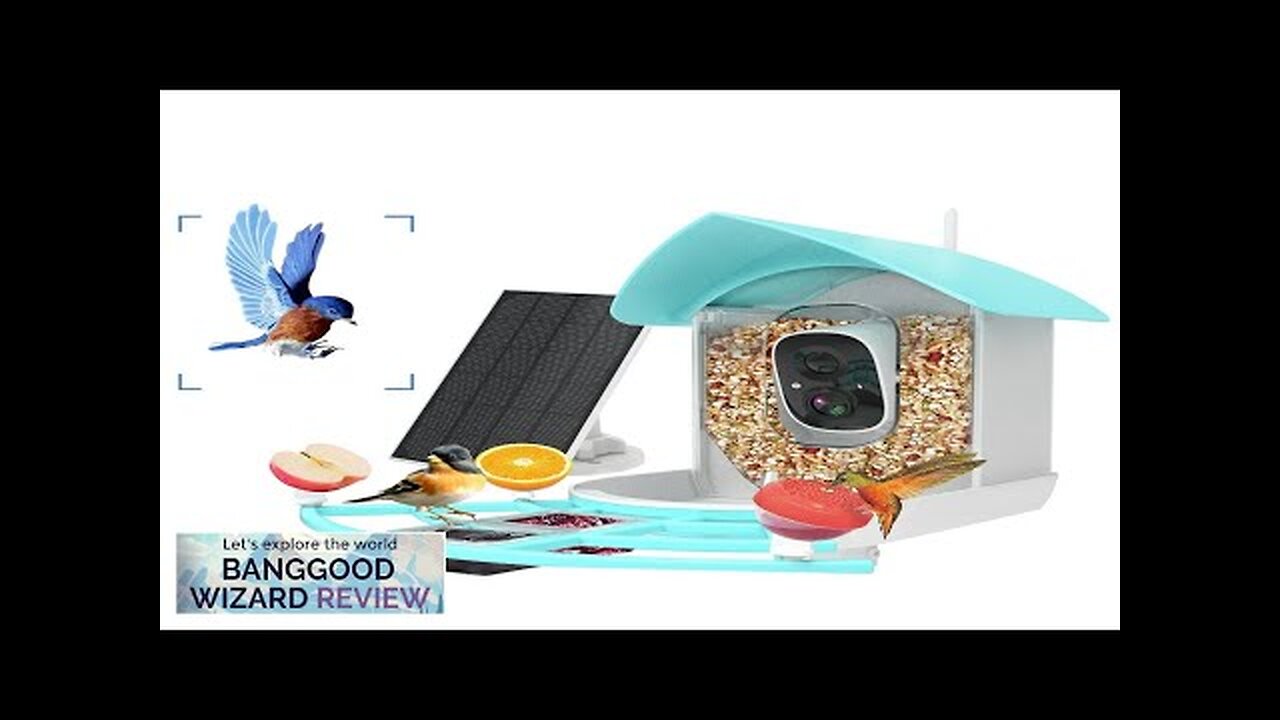 ZANLURE Smart Solar Rechargeable Bird Feeder Camera 1080P HD Live Stream Video Review