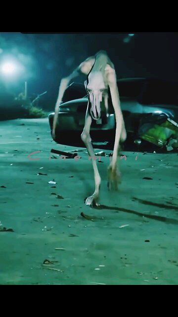 LIVE 24/7 Indian General: SnakesReptiles Wildlife Nature Herpetology shorts viral trending