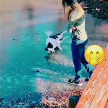 Hilarious Animal Moments – The Funniest Pets