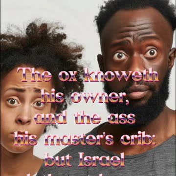 An Ox And An Ass Have More Sense To Know Who Their Owner Is Than Israel