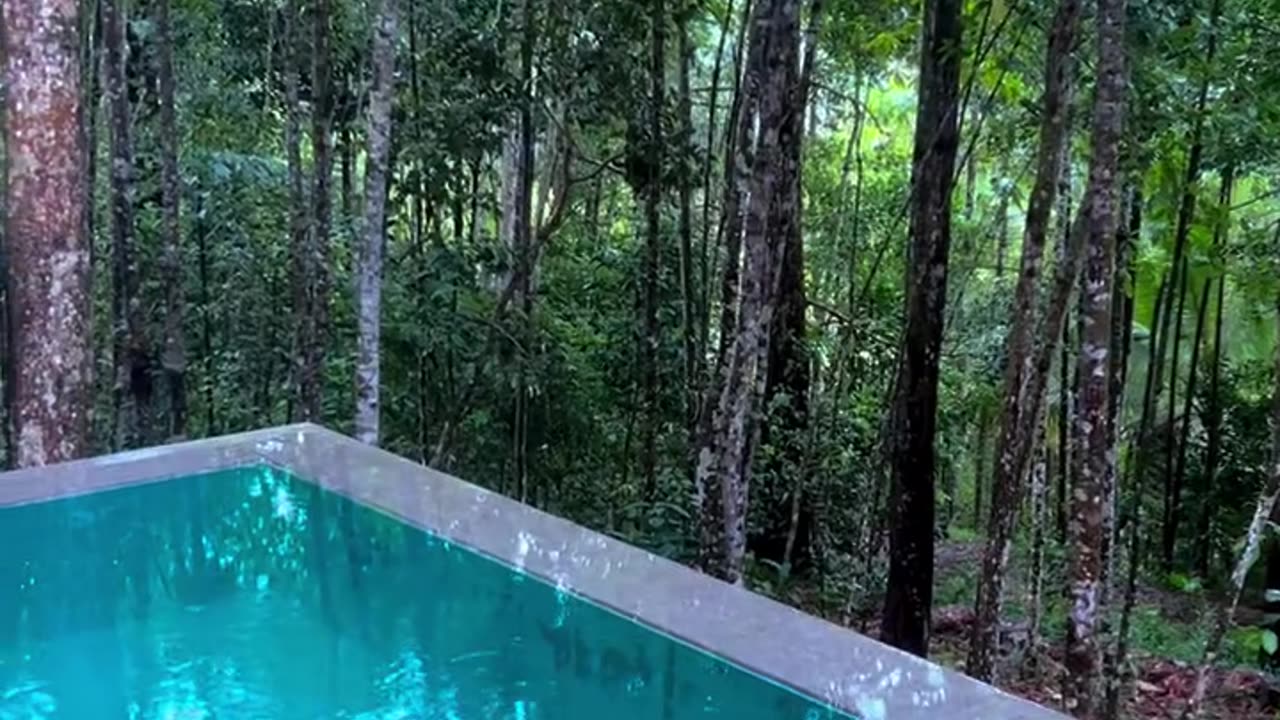A very quiet hotel in the middle of a forest.