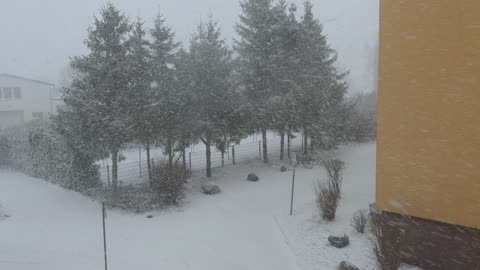 Einbrüche überall - kleiner Wintereinbruch 03-01-25