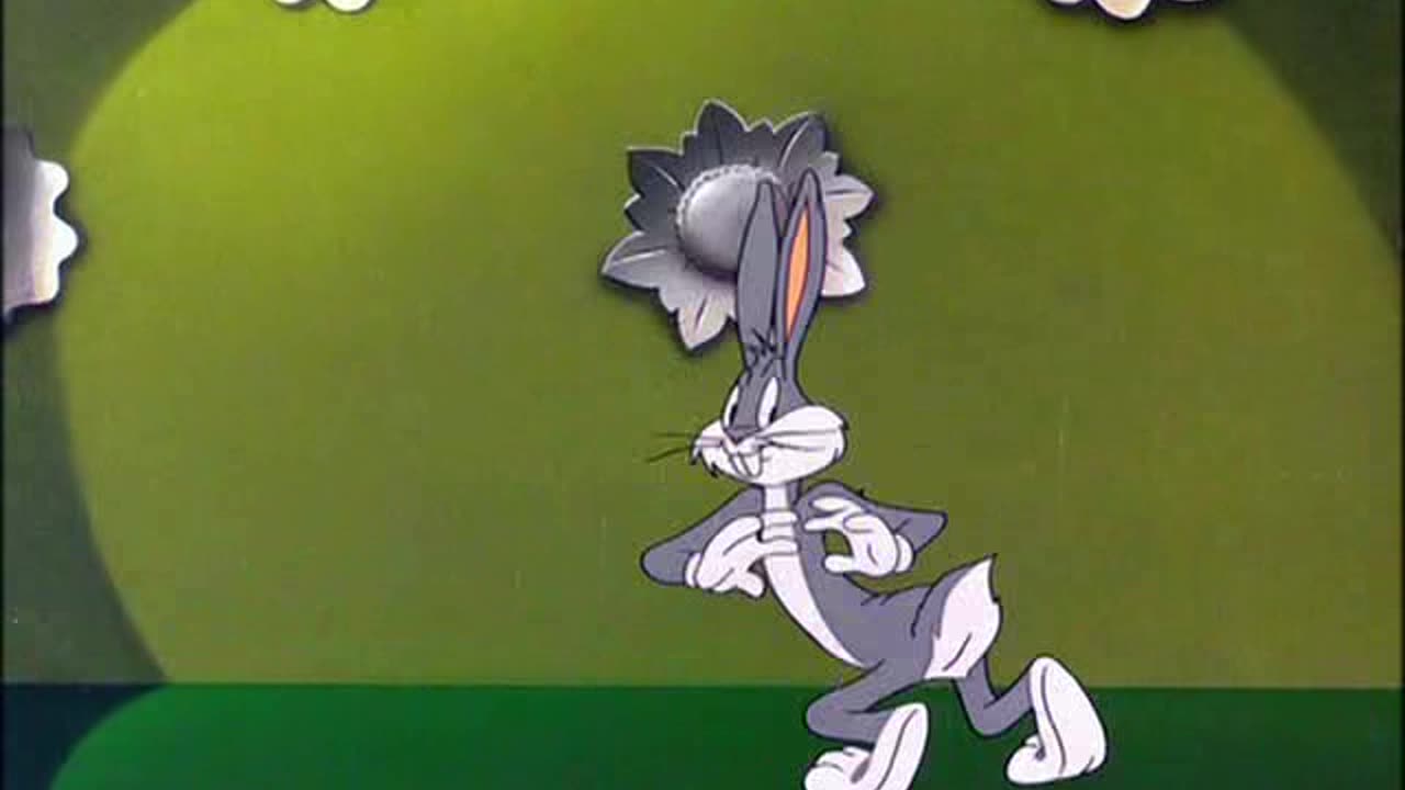 Looney Tunes Golden Collection S1947E19 Slick Hare