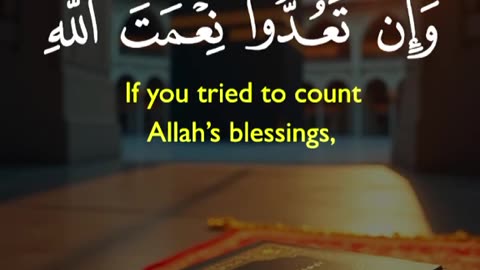 Jaza kallah ♥️✨