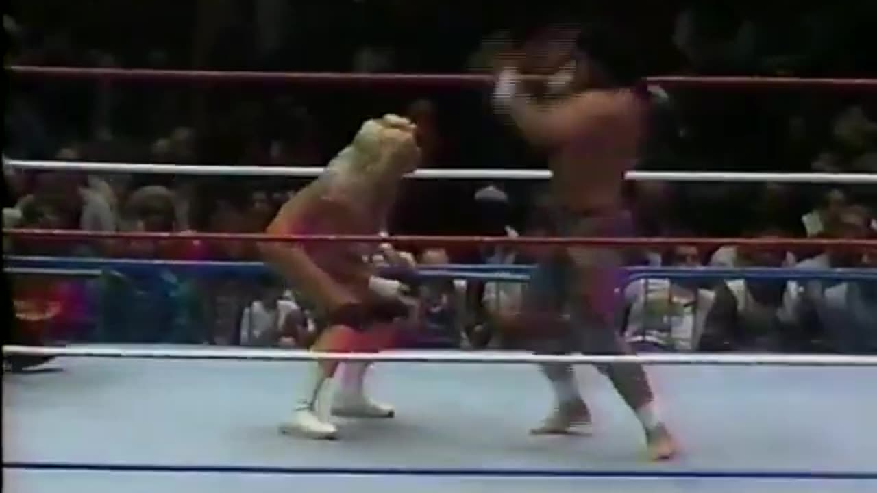 WWF MSG Nov 24 1990