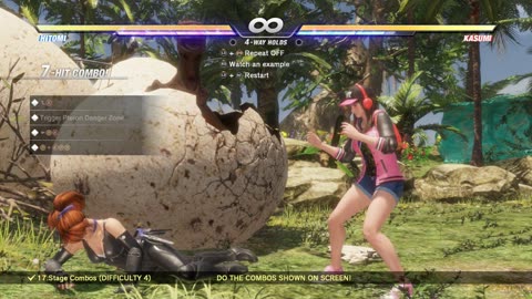 DOA6 Hitomi Combo Challenge