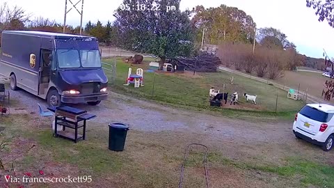 When Delivery Drivers And Fur Babies Become Besties🐶