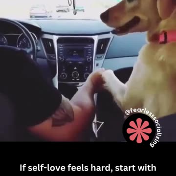 The First Step to Self-Love: Self-Neutrality 🤍