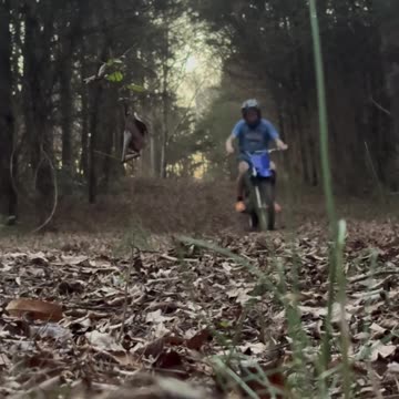 Short - Riding my TTR 125 in the woods