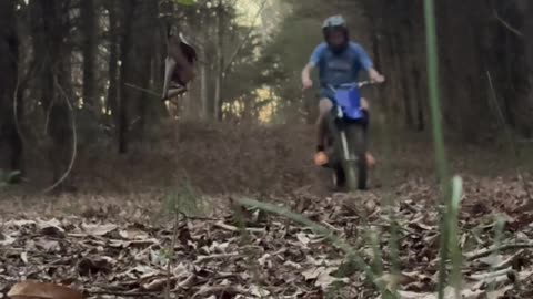 Short - Riding my TTR 125 in the woods