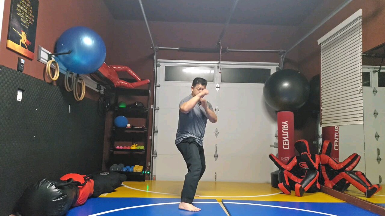 WTD Front Kick to Side Kick Sequential