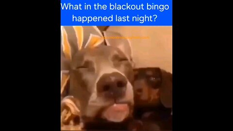WTF Happened Last Night ⁉️