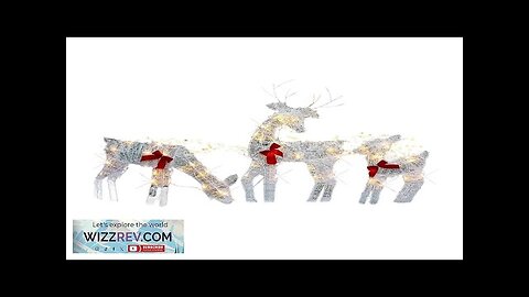 Set of 3 Lighted Christmas 2D Reindeers Outdoor Decorations Pre-Lit Xmas Rudolph Review