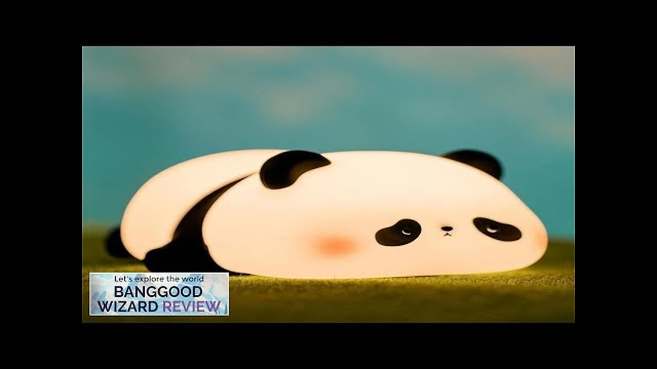 Panda Night Lights Animal Silicone Timing Rechargeable Night Light Cartoon Panda Bedroom Review