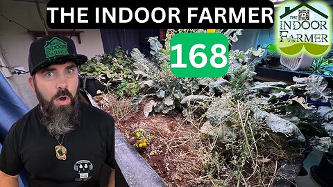 The Indoor Farmer ep 168, Things Are Looking Good, What's Next? Let's Grow