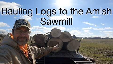 Hauling logs to the amish sawmill