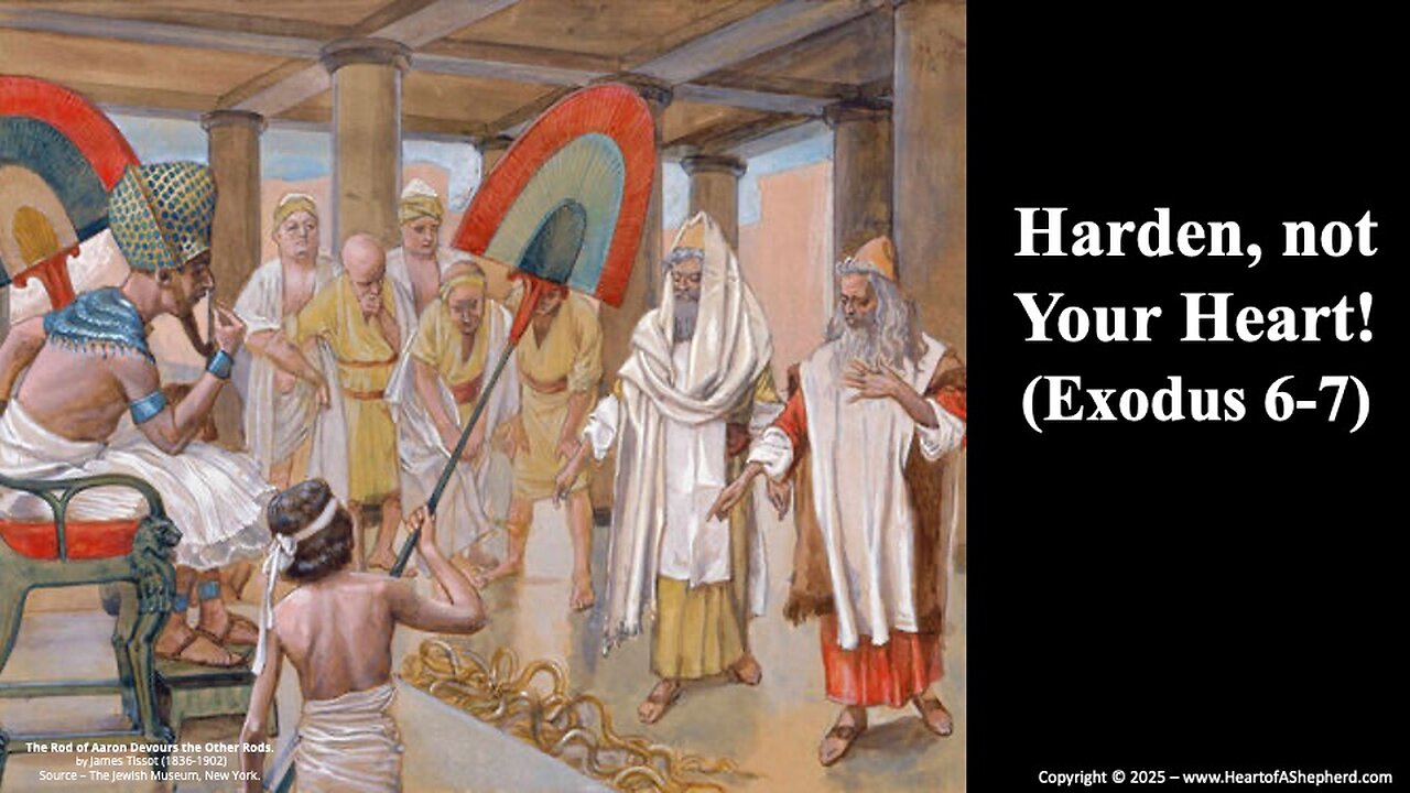 Harden, not Your Heart! (Exodus 6-7) – A daily Bible study from www.HeartofAShepherd.com.