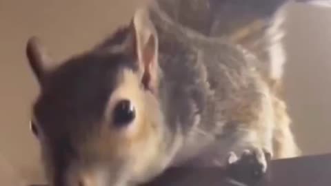 Please don’t stop.. 😊