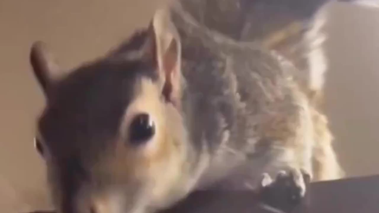 Please don’t stop.. 😊