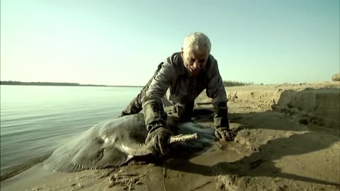 Jeremy Catches Stingray After 2 Hour Battle! | STINGRAY | River Monsters