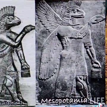 It's time we talked about the Anunnaki, the bags they held and the pinecones they highly sought!