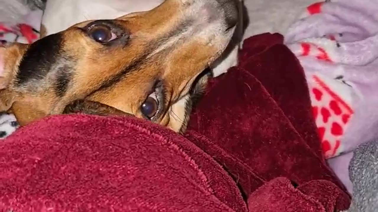 Conserving Energy