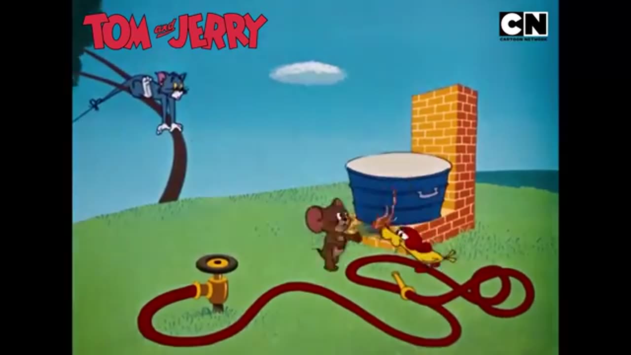 Tom & Jerry