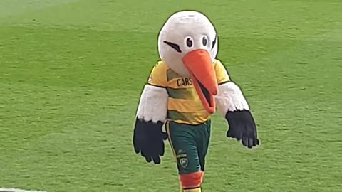 ADO den Haag mascot is very funny