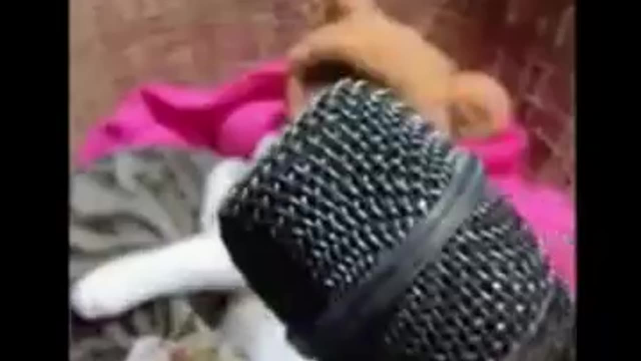 cat 😺 and dog 🐕 funny video