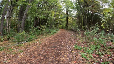 🌴☀️ Summer Edition Hiking Pinhey Forest Part 5 In Ottawa Canada 🍁☀️⛄