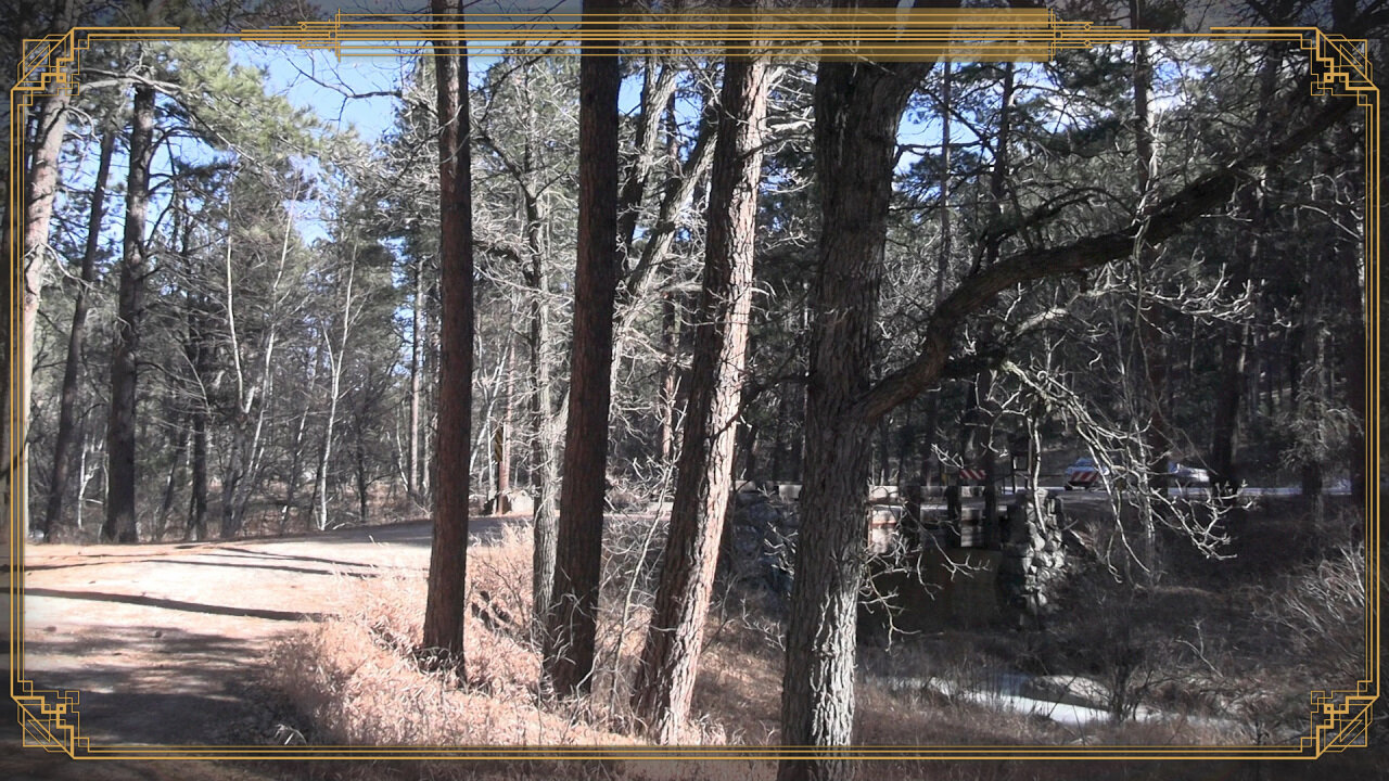 Nice day in the Black hills