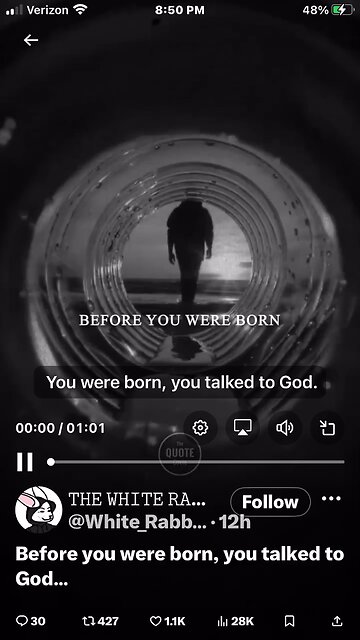 Before you were born, you talked to God