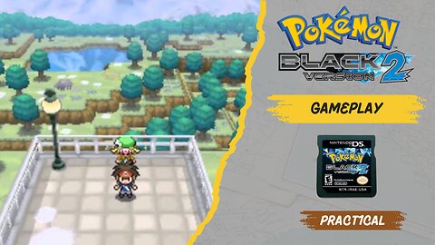 Continuing the Pokemon Black 2 Grind - Lets Play Stream