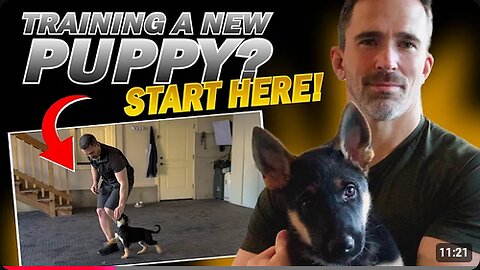 First Step to Training Your New Puppy!