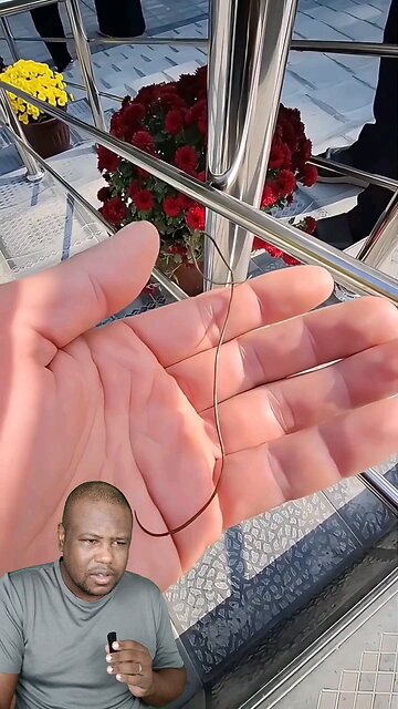 What kind of worm is this?